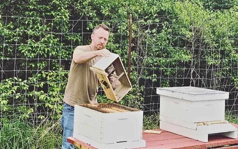 Dr. Justin Snyder, beekeeper