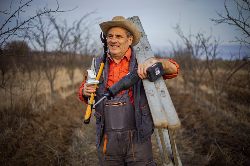 Farmer with equipment for pruning branches in an orchard - stock photo
Farmer with equipment for pruning branches in an orchard