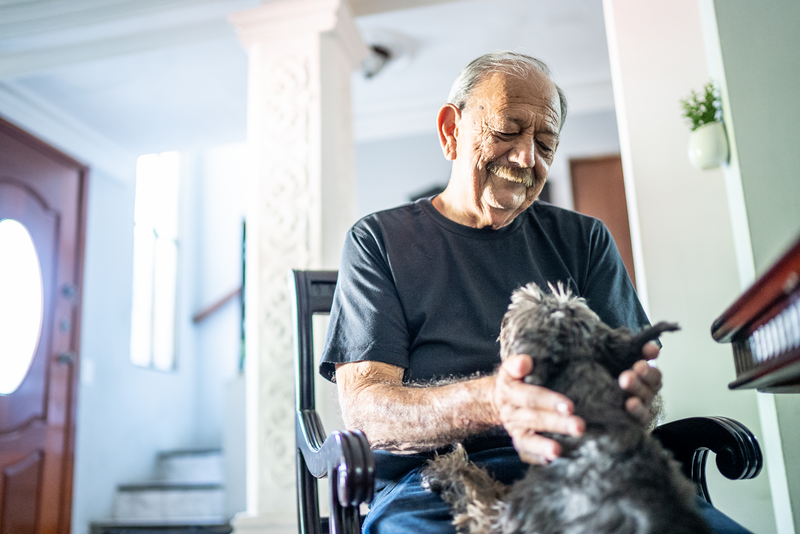 Senior man playing with dog at home - stock photo
Senior man playing with dog at home